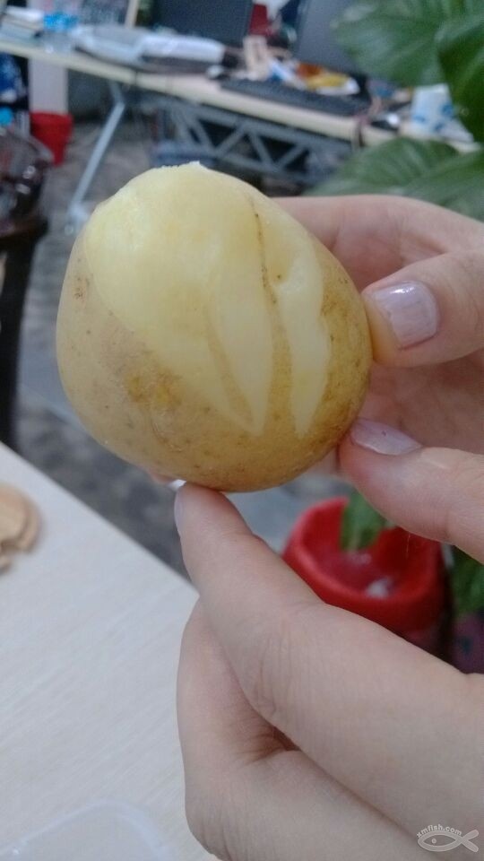 一颗茁壮成长的蒸土豆